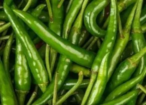 Mini piment vert thaï