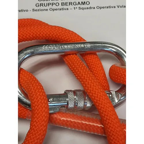 Safety cord