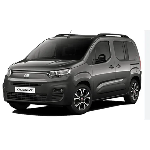 Passenger car / Light commercial vehicle