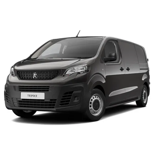 Passenger car / Light commercial vehicle