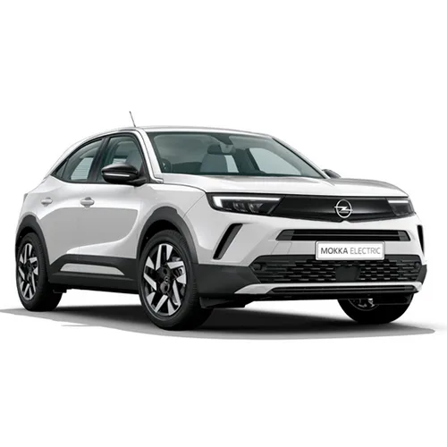 Passenger car / Light commercial vehicle
