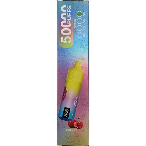 Disposable electronic cigarette