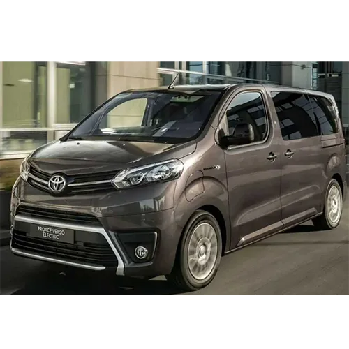 Passenger van / Light commercial vehicle