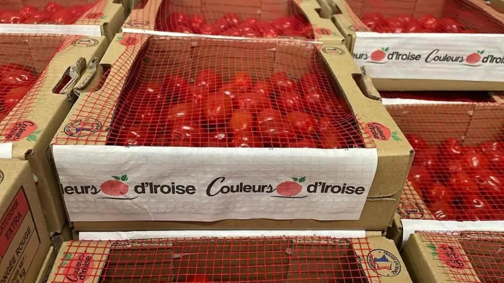 Tomate cerise 1kg