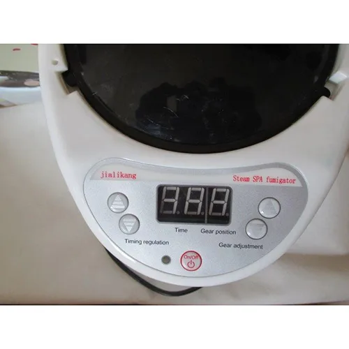Sauna steamer