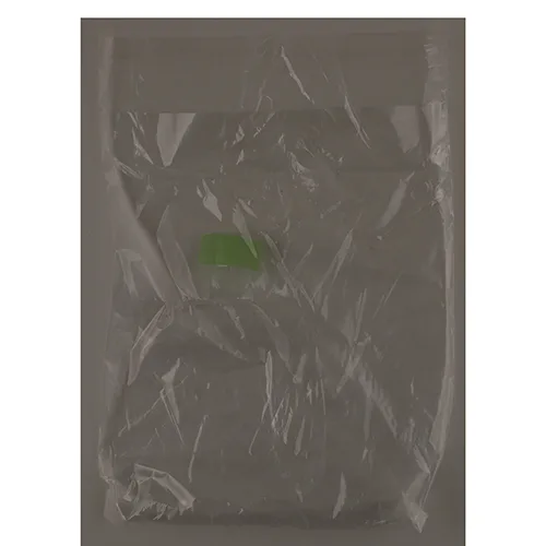 Plastic sandals