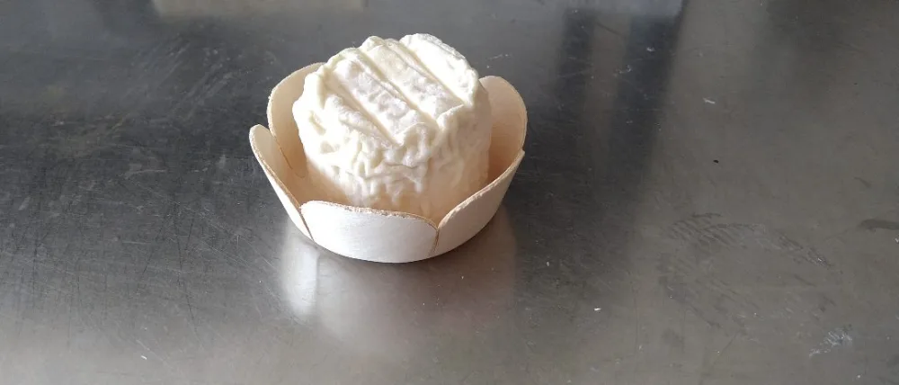 Fromages de chèvre