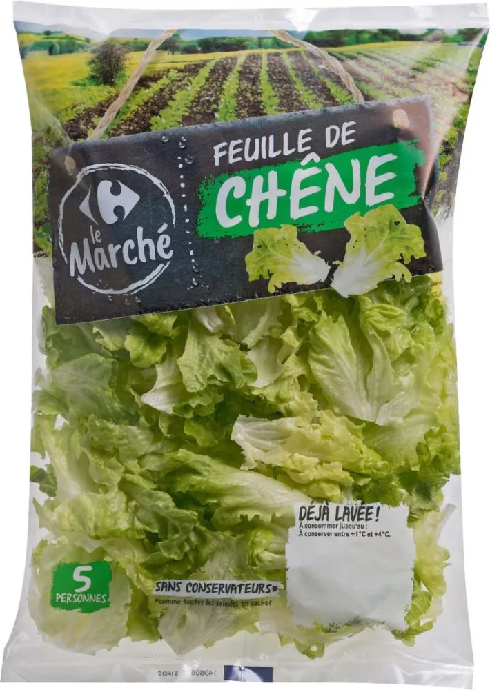 Feuille de chêne