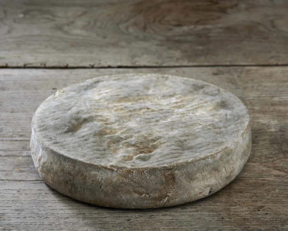 Saint-nectaire fermier