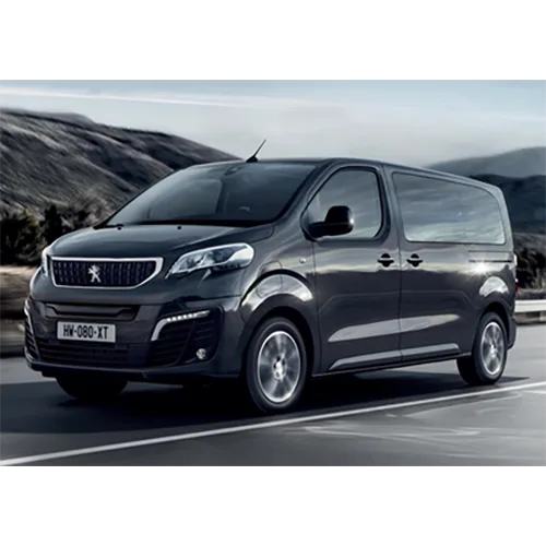 Passenger car / Light commercial vehicle