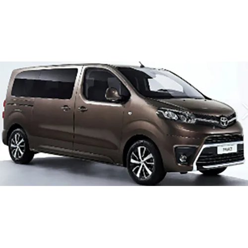Passenger van / Light commercial vehicle