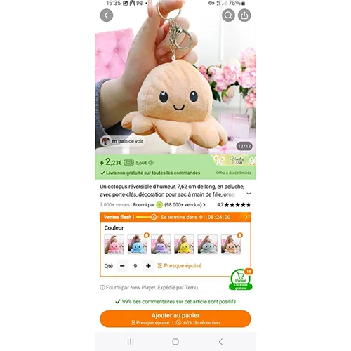 Key ring with soft toy