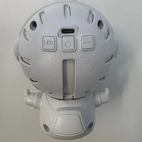 Projector