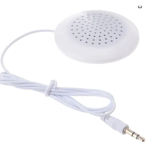Speaker