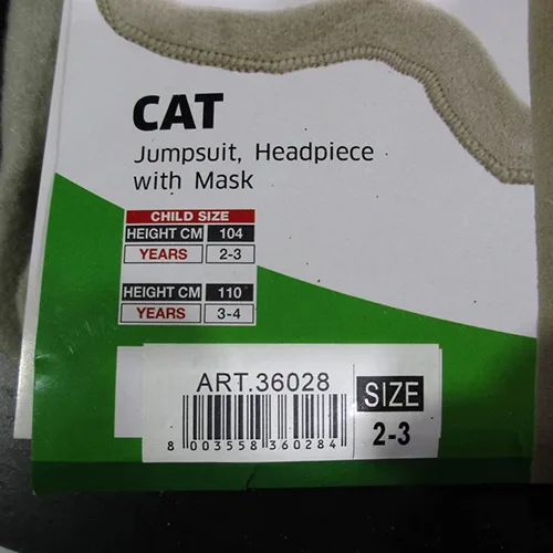 Fancy-dress costume