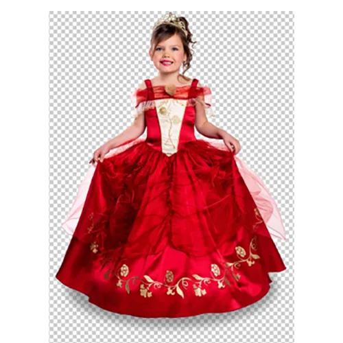 Fancy dress costume