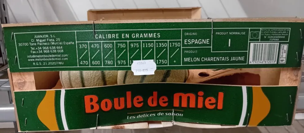 Melon charentais d'espagne