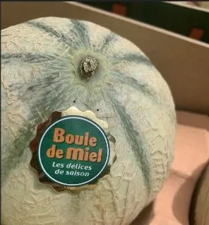 Melon charentais d'espagne