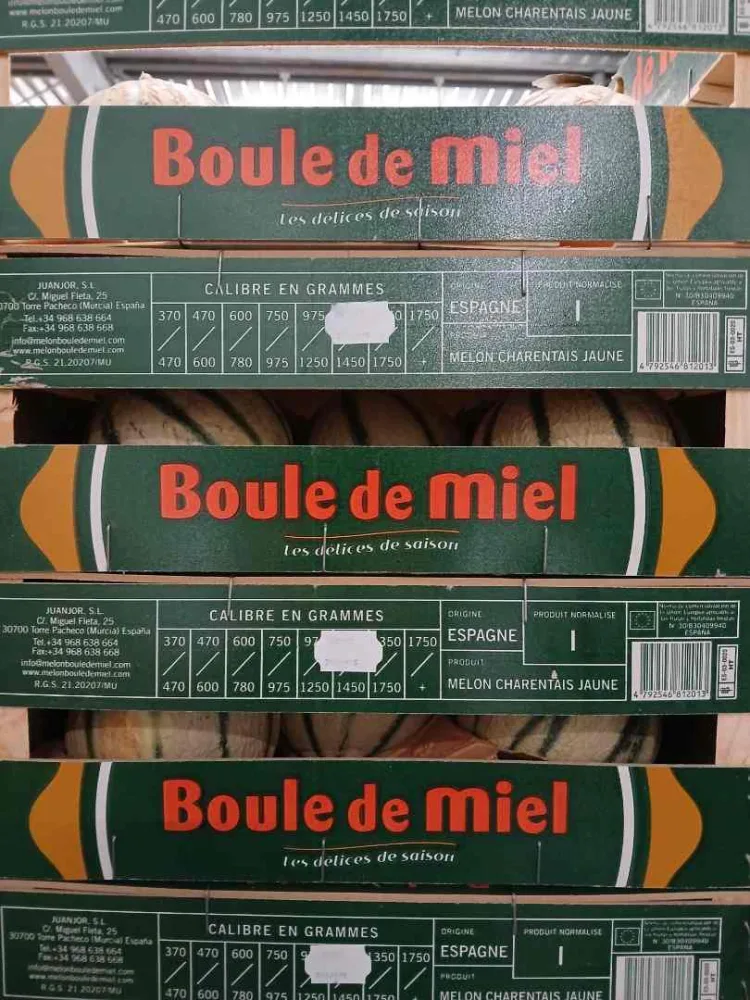 Melon charentais d'espagne