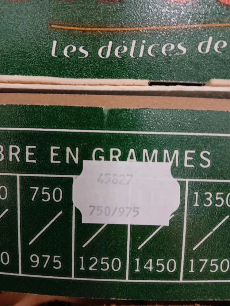 Melon charentais d'espagne
