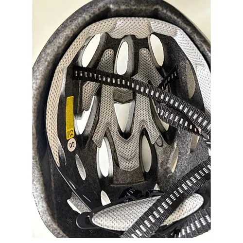 Bicycle helmet