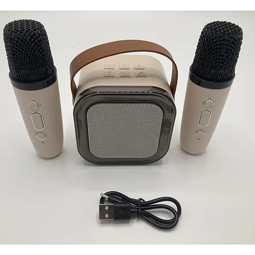 Karaoke set