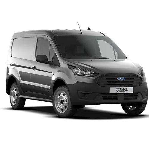 Passenger van / Light commercial vehicle