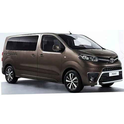 Passenger van / Light commercial vehicle