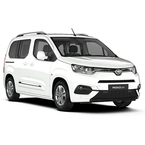 Passenger van / Light commercial vehicle