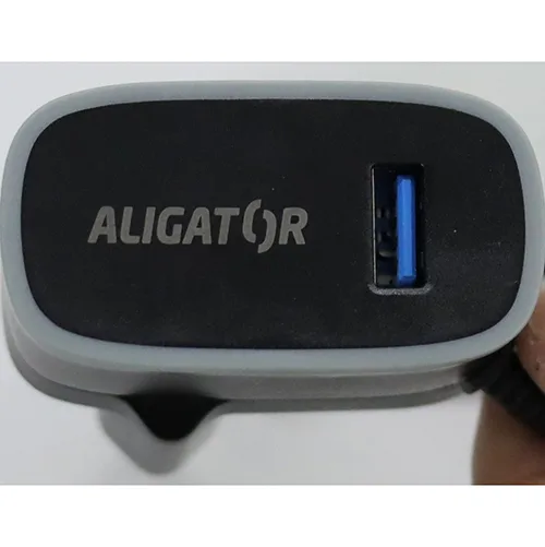 Travel charger