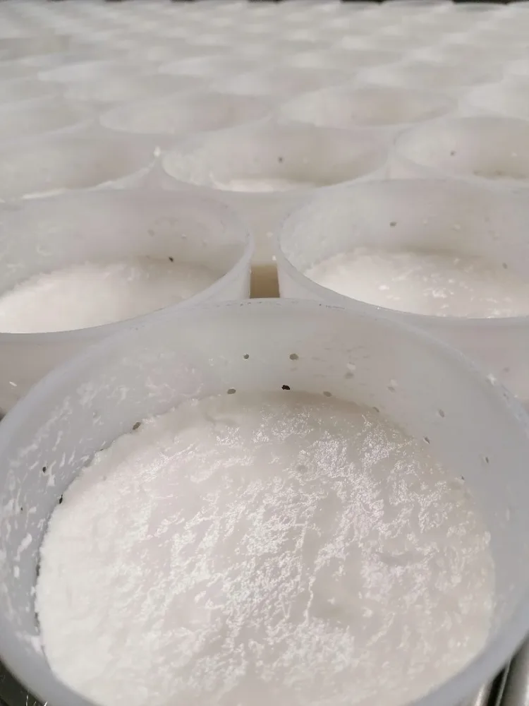 Fromage blanc de chèvre
