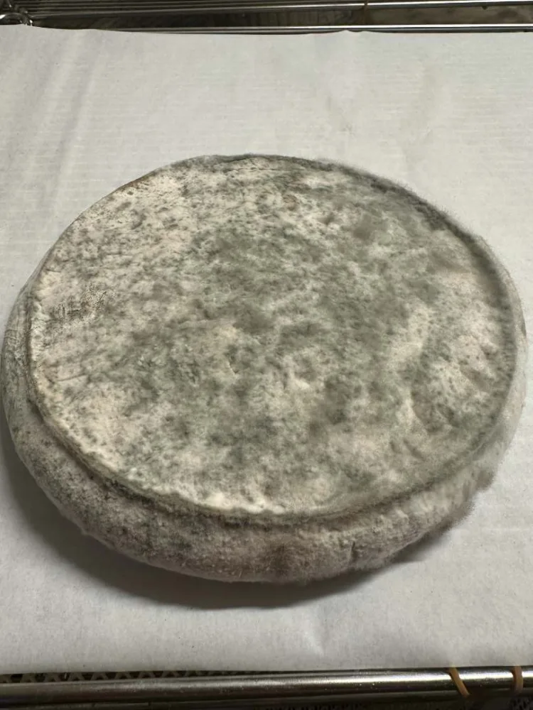Fromage fermier