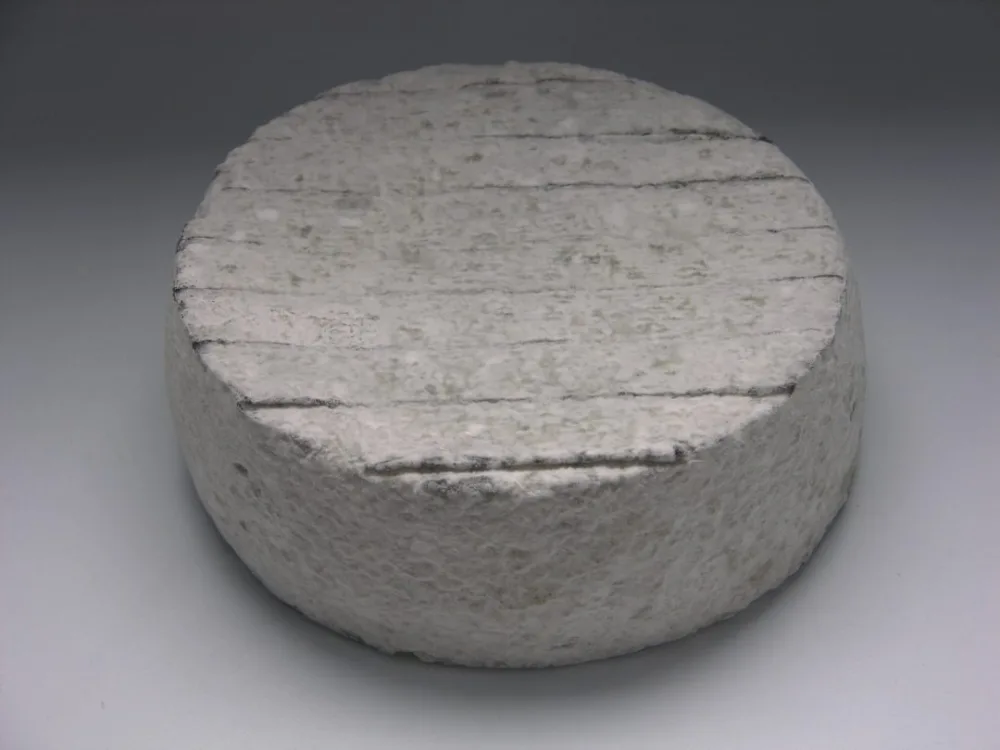 La cendrée barbichette