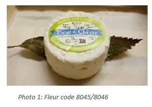 Fromage au lait cru de chèvre