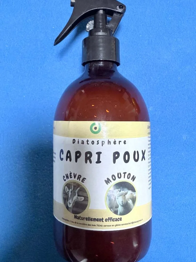 Capri poux