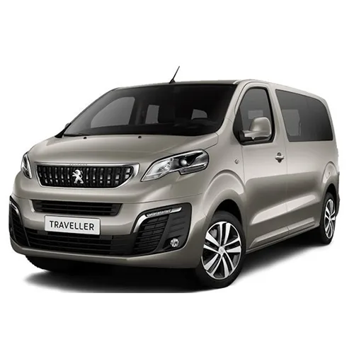 Passenger van / Light commercial vehicle