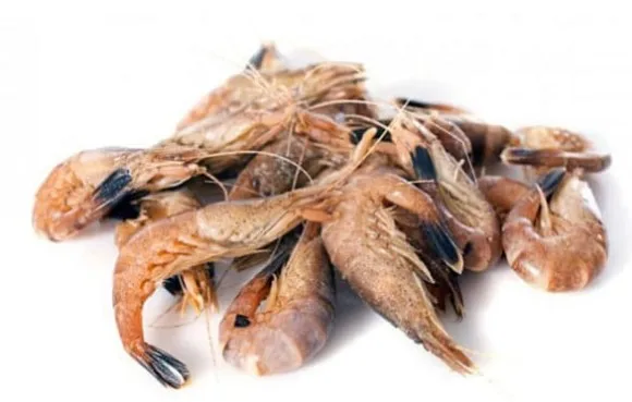 Crevettes grises cuites