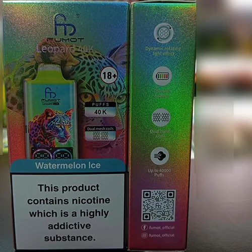 Disposable electronic cigarette