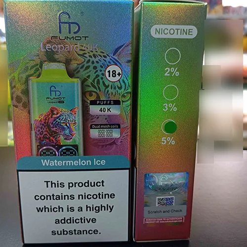 Disposable electronic cigarette