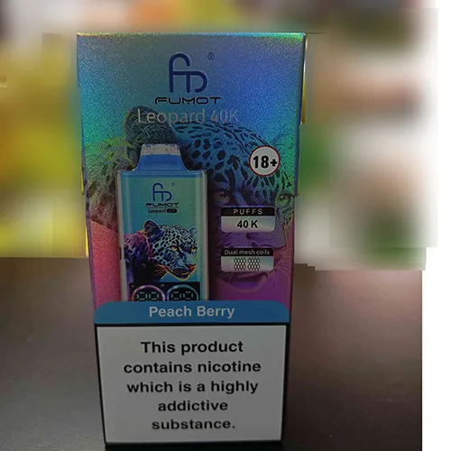 Disposable electronic cigarette