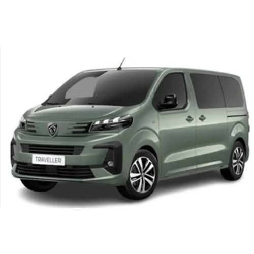 Passenger van / Light commercial vehicle