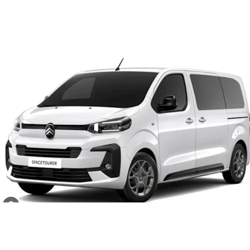 Passenger van / Light commercial vehicle