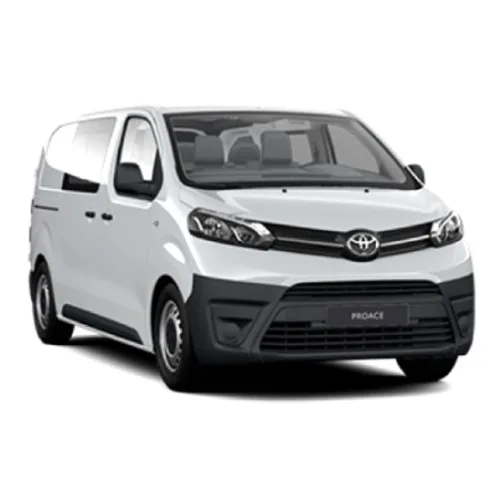 Passenger van / Light commercial vehicle