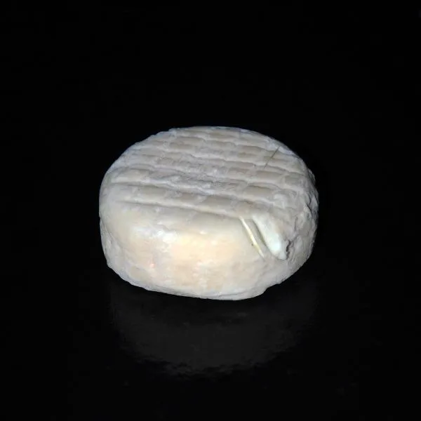 Fromages de chèvre