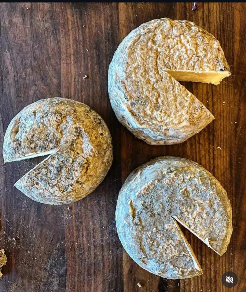 Tommette de bufflonne