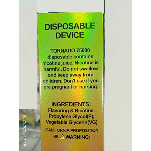 Disposable electronic cigarette
