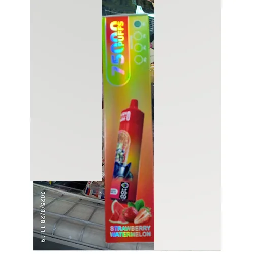 Disposable electronic cigarette