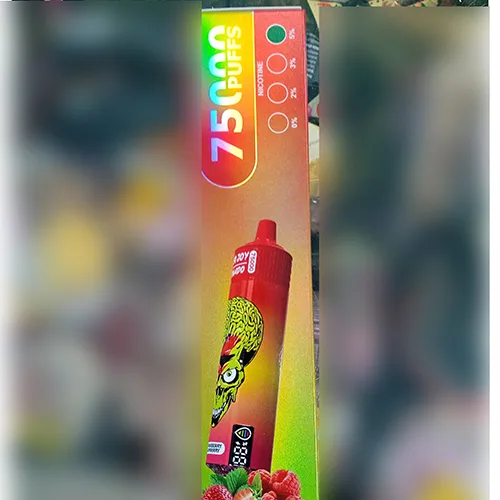 Disposable electronic cigarette