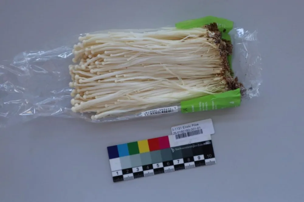 Champignons enoki
