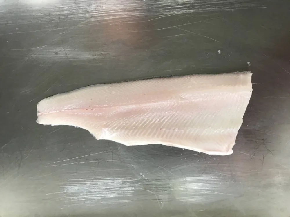 Filet de truite